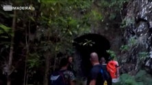 Imagem de Descoberto túnel inacabado na fronteira do Estreito da Calheta com a Calheta (Vídeo)