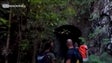 Imagem de Descoberto túnel inacabado na fronteira do Estreito da Calheta com a Calheta (Vídeo)