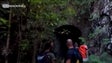 Descoberto túnel inacabado na fronteira do Estreito da Calheta com a Calheta (Vídeo)