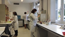 Imagem de Laboratório do Instituto do Vinho de novo reconhecido (áudio)