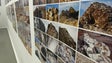 Mil fotografias da ilha do Porto Santo em exposição (vídeo)