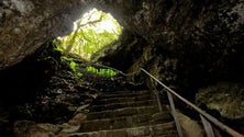 O Centro de Visitantes da Gruta das Torres assinalou 15 anos (Vídeo)