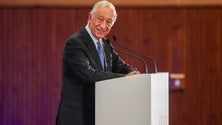 Imagem de Marcelo promulga subsídio de desemprego para vítimas de violência doméstica