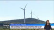 Imagem de Madeira pode ser uma fonte de inspiração para a Amazónia (vídeo)