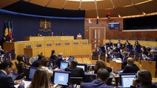 PS Madeira recomenda apoio excecional de crise para a agricultura (áudio)