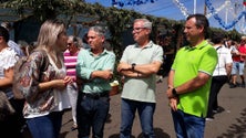 Imagem de JPP diz que o governo não apoia os agricultores (áudio)