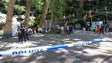 12 mortos e 50 feridos é o balanço oficial da queda da árvore na Festa do Monte