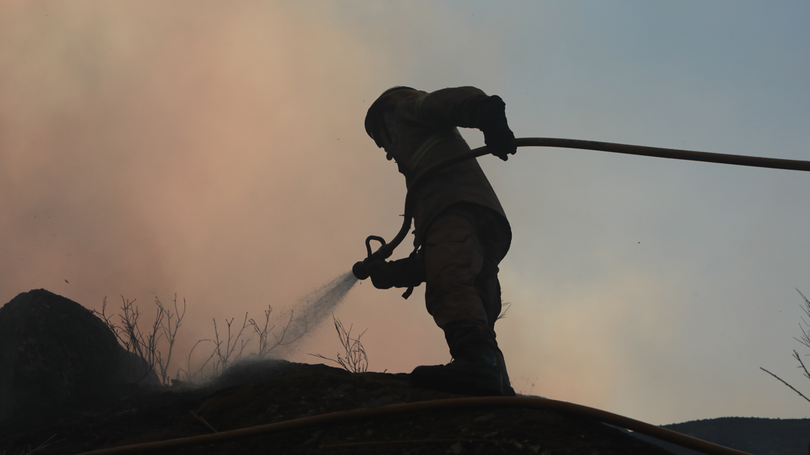 Queimas e queimadas representam 62% das causas dos fogos deste ano