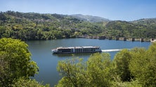 Imagem de Circulação de cruzeiros no rio Douro cresceu 19%
