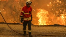 Imagem de Situação continua a ser extrema
