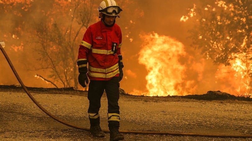 Imagem de Situação continua a ser extrema