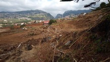 Imagem de Quatro parcelas por expropriar (vídeo)