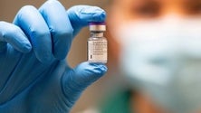 Imagem de Vacina da Pfizer deve estar autorizada até final do ano