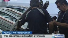 Imagem de Representação Peugeot disputada na Madeira