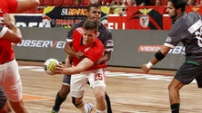 Imagem de Francisco Pereira, do Benfica, foi cedido ao Madeira Andebol até ao final da época