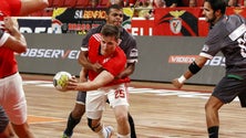 Francisco Pereira, do Benfica, foi cedido ao Madeira Andebol até ao final da época