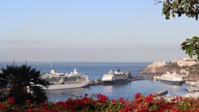 Imagem de Turistas dos paquetes querem ver Cortejo da Flor (áudio)