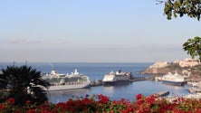 Turistas dos paquetes querem ver Cortejo da Flor (áudio)