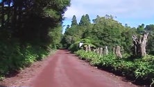 Imagem de Reabilitação de estrada, no Faial, terá custo superior a 2 milhões de euros [Vídeo]
