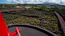 Açores não conseguem escoar o vinho (Som)