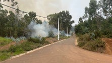 Imagem de Câmara de Lobos continua a combater as chamas (áudio)