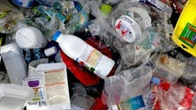 Imagem de Recolha seletiva de resíduos aumentou 16% (Vídeo)