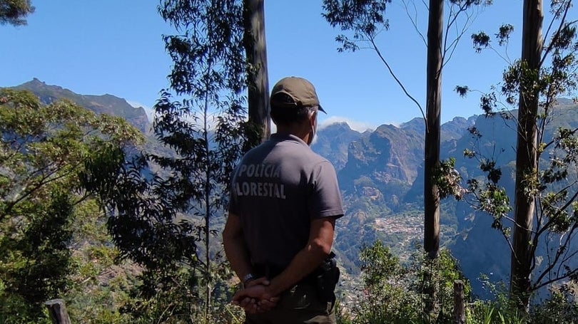 Buscas em São Vicente