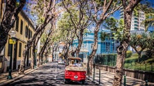 Imagem de Câmara do Funchal vai criar regulamento para circuitos turísticos