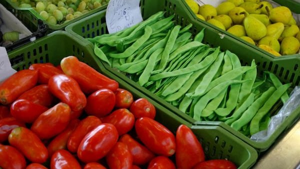 Imagem de Produção agrícola na Madeira atinge 104,4 M€ em 2015