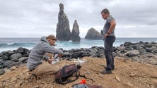 Imagem de Investigadores da UMa usam drones para descobrir espécies raras da flora do arquipélago (áudio)