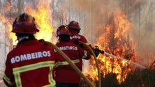Imagem de Bombeiros com verba prevista superior a 30 milhões de euros