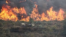 Imagem de Dois bombeiros mortos e três feridos em despiste em Vinhais