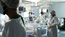 Imagem de Madeira já tem 84 hospitalizados
