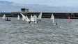 Imagem de De regresso ao mar (vídeo)
