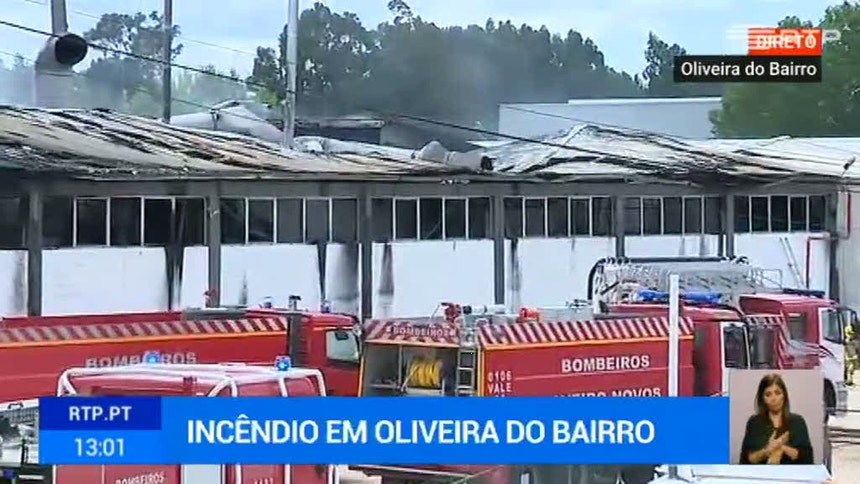 Quatro feridos em incêndio numa fábrica em Oliveira do Bairro