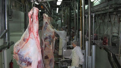 Governo da Madeira injeta 100 mil euros em empresa pública de abate