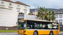 Imagem de Horários do Funchal prepara-se para rever rede e frequência de carreiras (áudio)