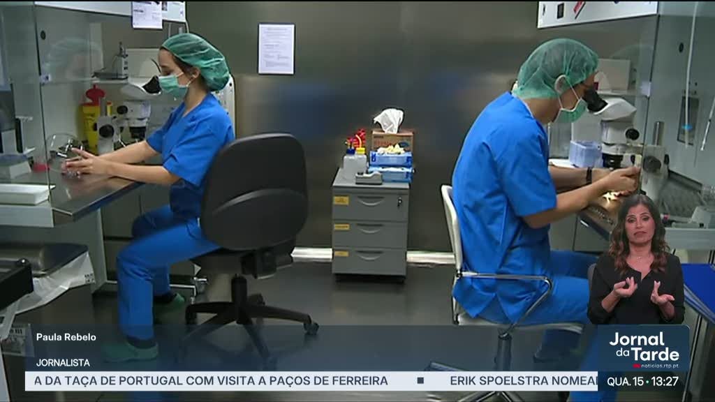 Lista de espera de três anos para procriação medicamente assistida