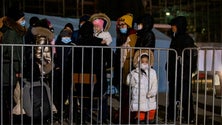 Imagem de Bruxelas quer corredores humanitários para ucranianos