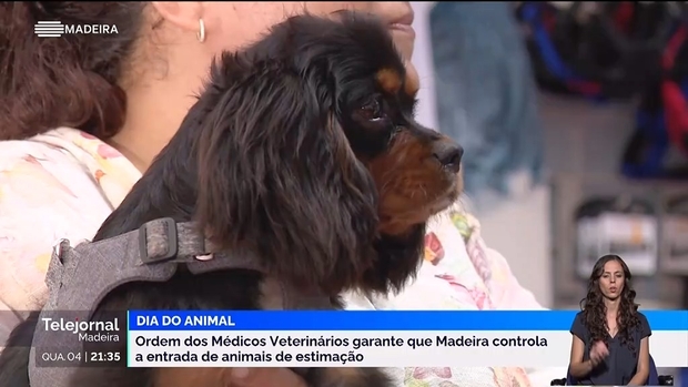 Sociedade