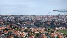 Imagem de Encerraram menos empresas na Madeira este ano (Vídeo)