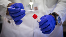 Imagem de Cientistas criam fórmula para ajudar deteção precoce de picos da pandemia