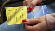 Imagem de SEF Madeira já registou 417 pedidos