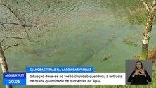 Água da Lagoa das Furnas afetada por cianobactérias [Vídeo]