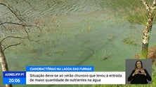 Imagem de Água da Lagoa das Furnas afetada por cianobactérias [Vídeo]