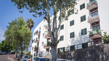 Imagem de Madeira isenta o pagamento das rendas sociais até ao final do ano