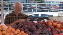 Imagem de Venda ambulante vive de fruta importada (vídeo)
