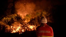 Imagem de Incêndio na Serra da Estrela é o mais extenso