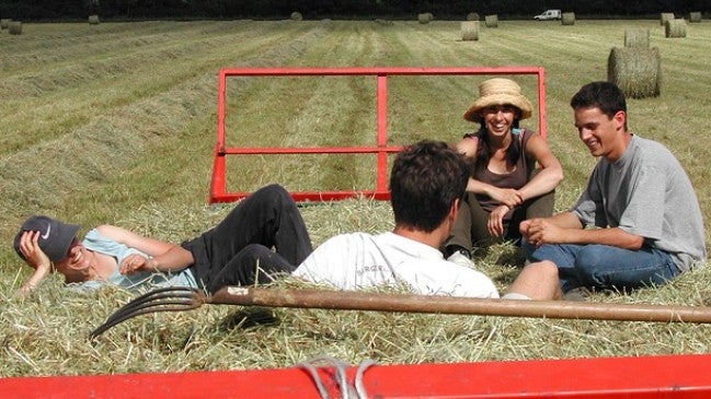 Imagem de Curso de Agricultura Biológica na UMa com equivalência a Jovem Agricultor