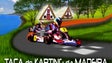 Imagem de 7ª Taça da Madeira em Karting promete grandes emoções
